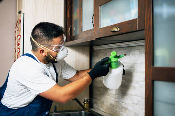 Best Emergency Pest Control  in North Wantagh, NY