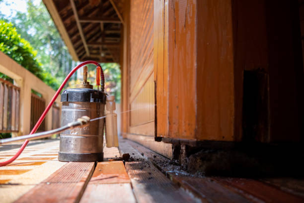 Best Mosquito Control Services  in North Wantagh, NY