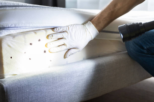 Best Commercial Pest Control Services  in North Wantagh, NY
