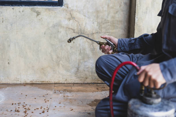 Pest Control Cost in North Wantagh, NY