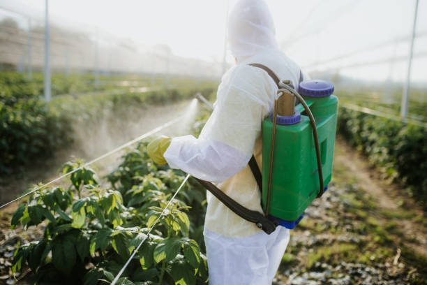 Best Pest Prevention Services  in North Wantagh, NY